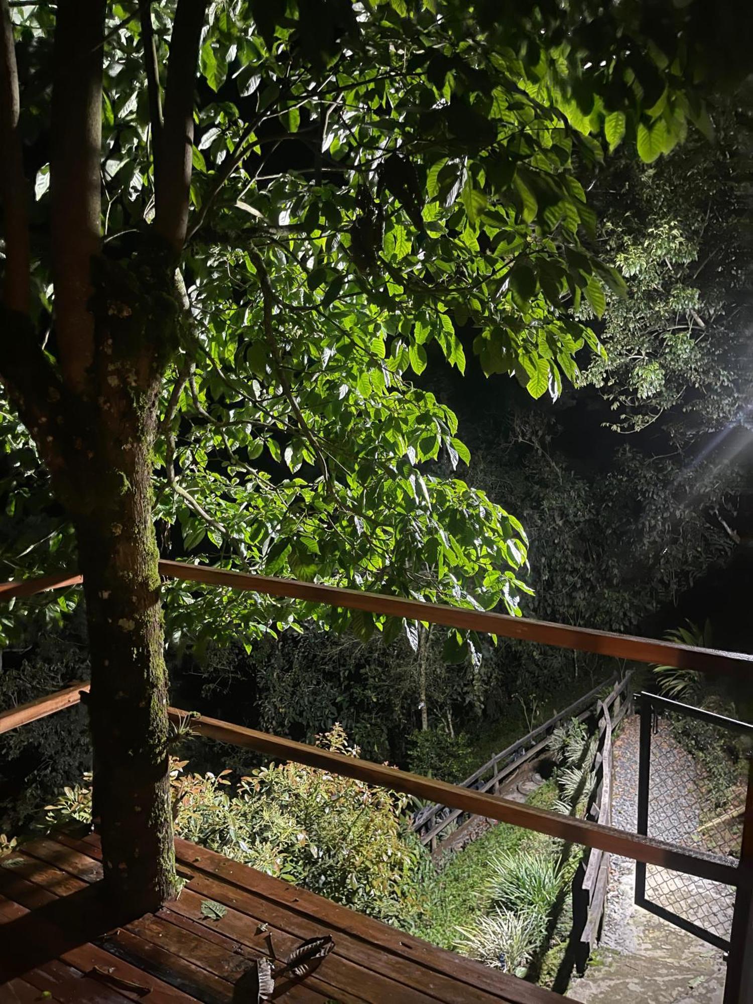 Lodge Glamping La Reserva *