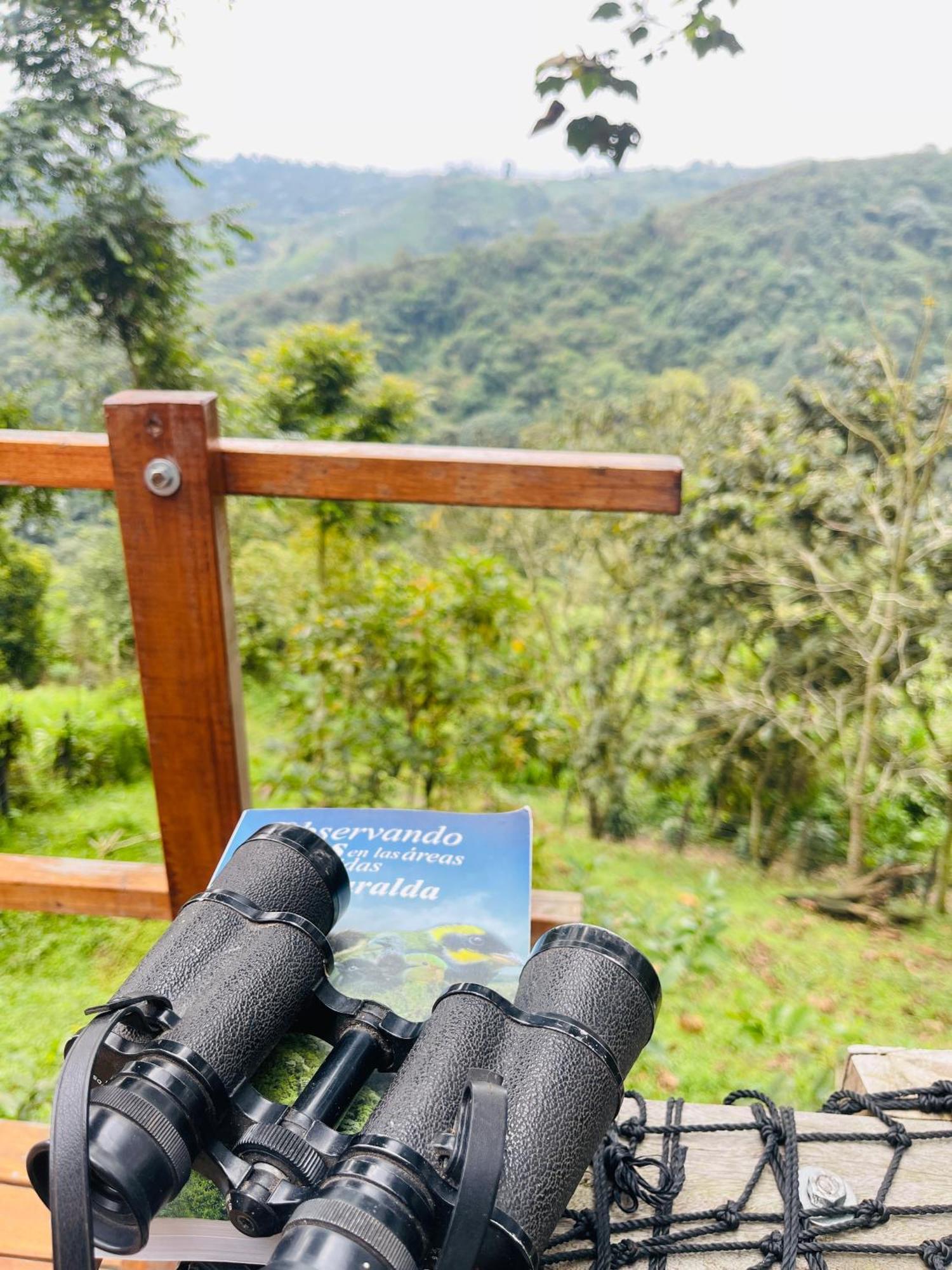 Glamping La Reserva * Pereira